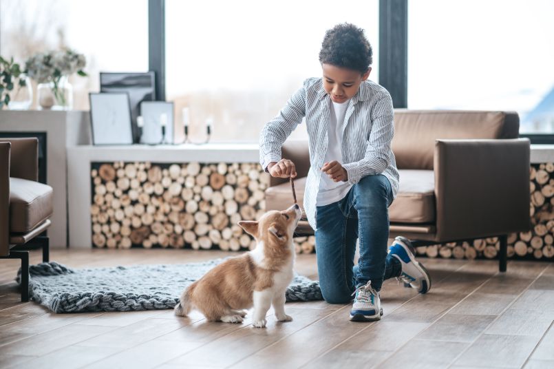 Pet-Friendly Flooring Options That Resist Scratches & Stains