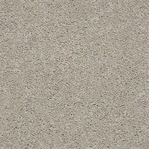 Xv183 12' by Shaw Industries