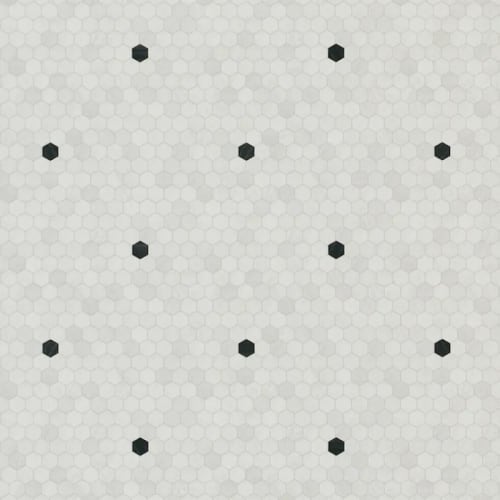 White Quartz W/Basalt - Gold