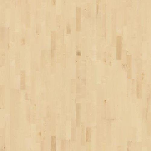 European Maple Gotha