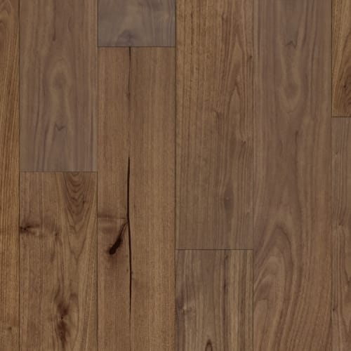 American Walnut