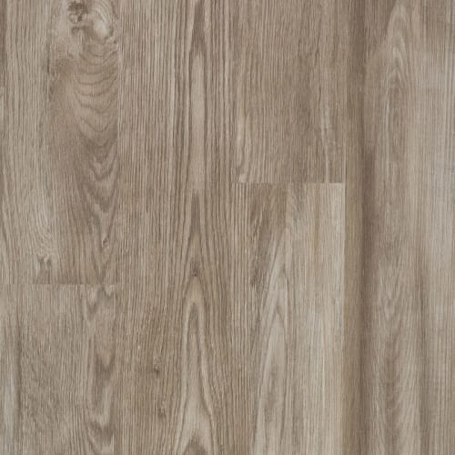 Gusting Spring 6.5" X 48"