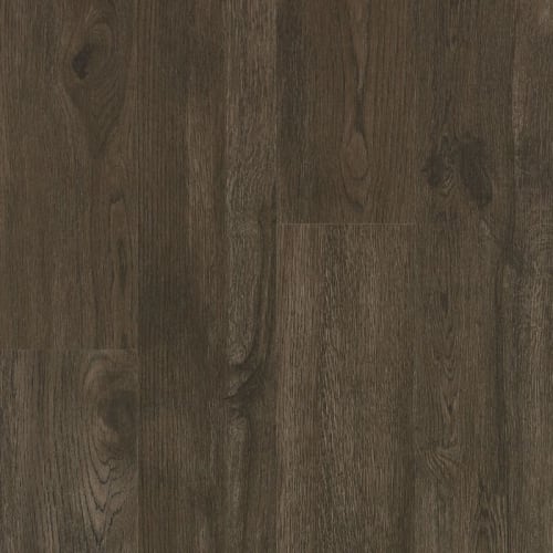 Warm Cocoa 6.5" X 48"