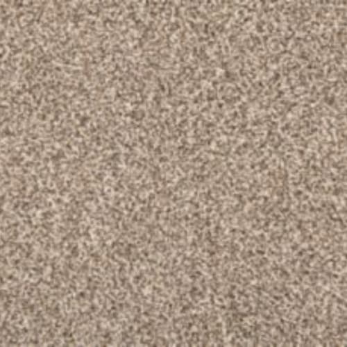Mohawk Pop Icon Color Color Current Shop Mohawk Industries Carpet Color Classics I by Mohawk Industries ...