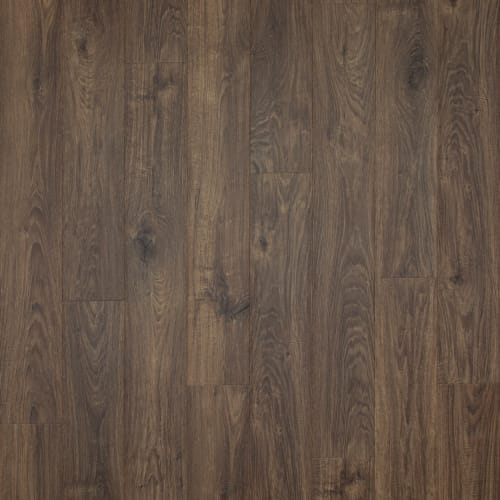 Rustic Forest Oak