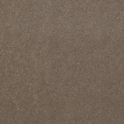Top Taupe