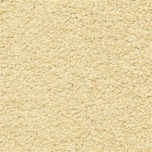 Shop DH Floors Carpet Cassina by DH Floors - Oakland, CA - Baila Floors