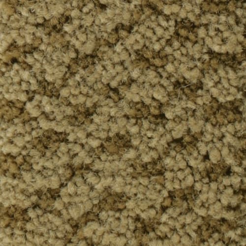Raw Umber