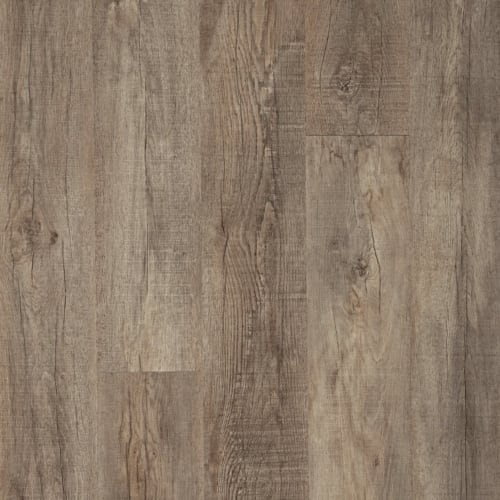 Barnwood Wood