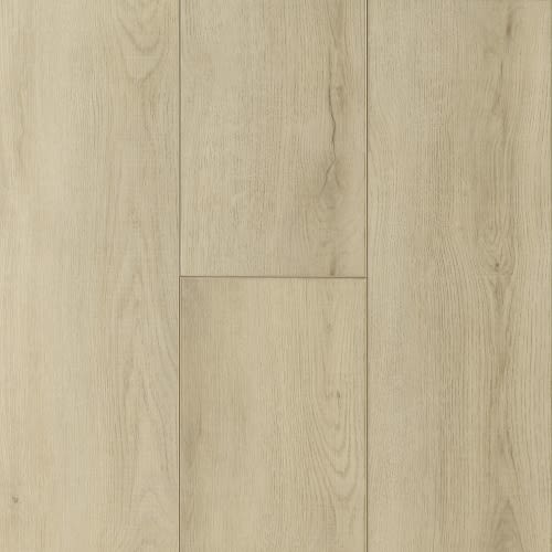 Studio Tan 9.1" X 60"