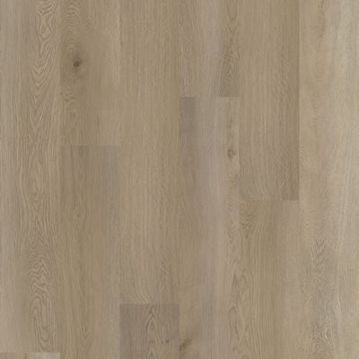 Eterra - Black Series by Gaia