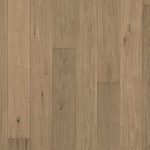 European Oak Summer Tan