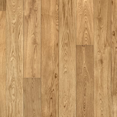 European Oak Sunrise