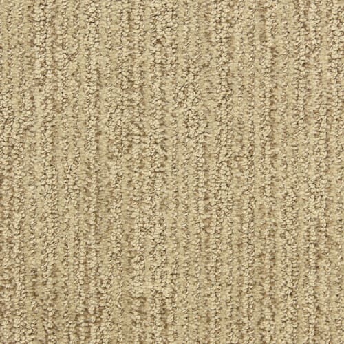 Alon in Accolade Carpet flooring by Proximity Mills