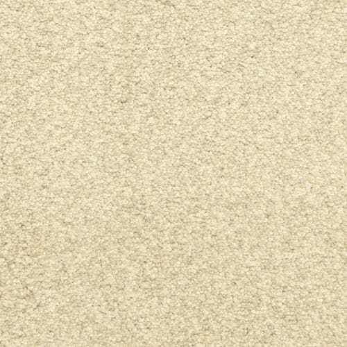 Indian Bay in Granite Carpet Flooring by Proximity Mills