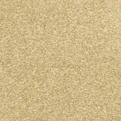 Harbor Bend in Marble Carpet Flooring by Proximity Mills