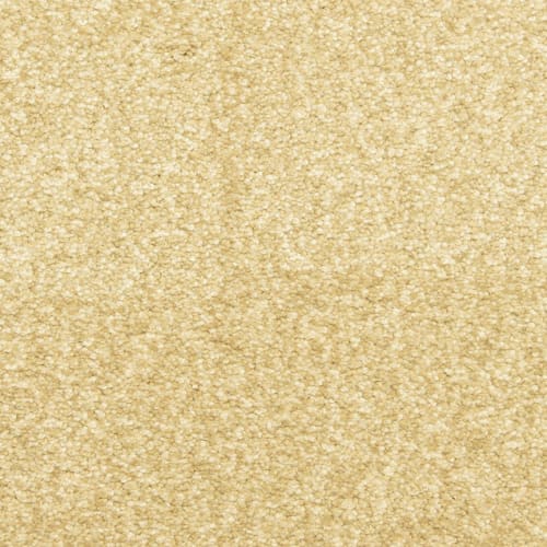 Amberhill in Portico Carpet Flooring by Proximity Mills