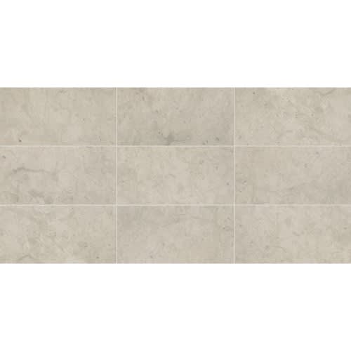 Volcanic Gray 12X24 Polished