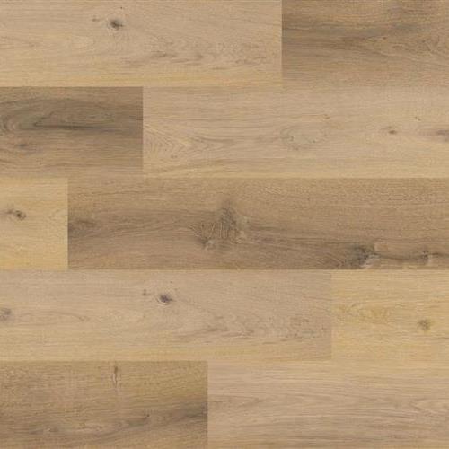 Merino Oak