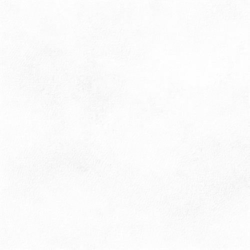 Civilian - 12X24 Matte