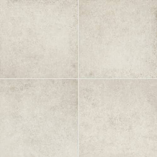 Tradition-24X48-Matte