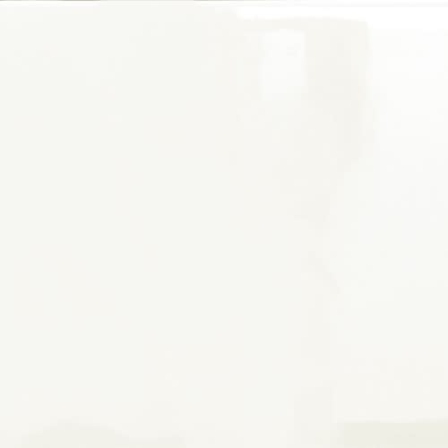 Ivory Glossy 3" X 6"