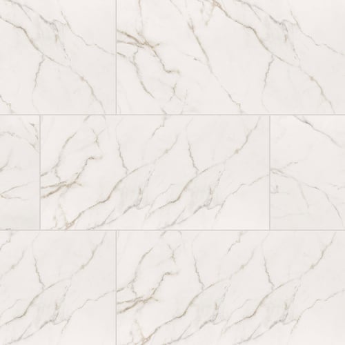 Calacatta Lucca - 12X24 Polished