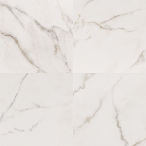Calacatta Lucca - 24X24 Matte