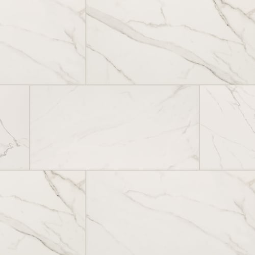Calacatta Venato - 24X48 Polished