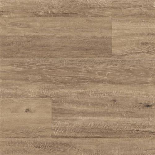 Neutral Oak