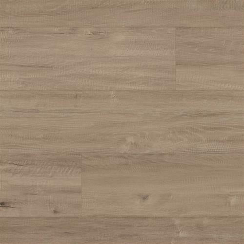Taupe Oak