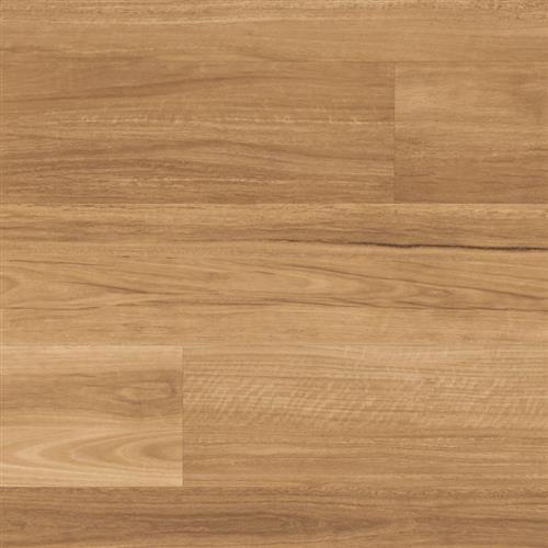 Lemon Spotted Gum