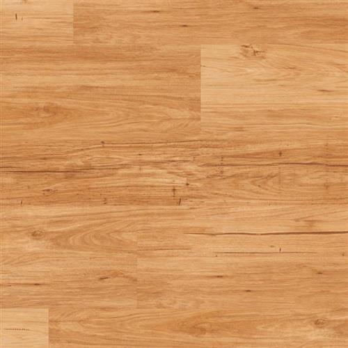 Looselay Tasmanian Wattle