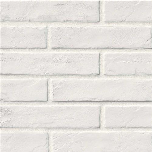 White - 2X10
