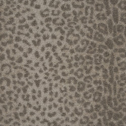 Cheetah Luster
