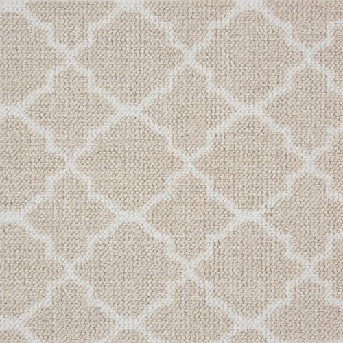 Trellis Loop
