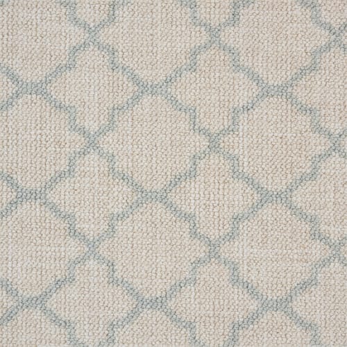 Trellis Loop