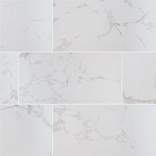 Carrara - 24X48 Polished