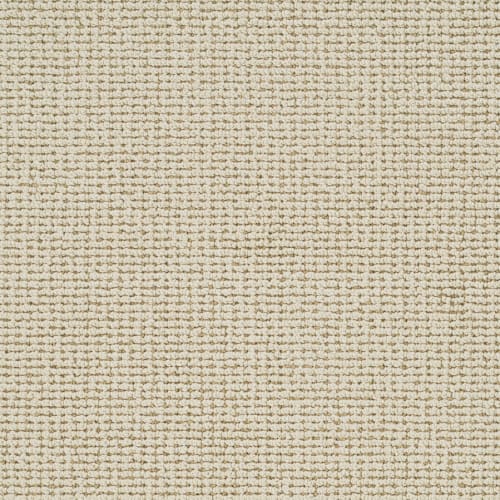 Artesia in Grassland Carpet Flooring by Proximity Mills
