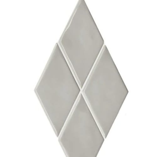 Silverside Harlequin