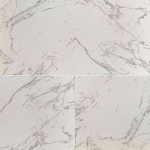 Carrara - 24X24 Polished