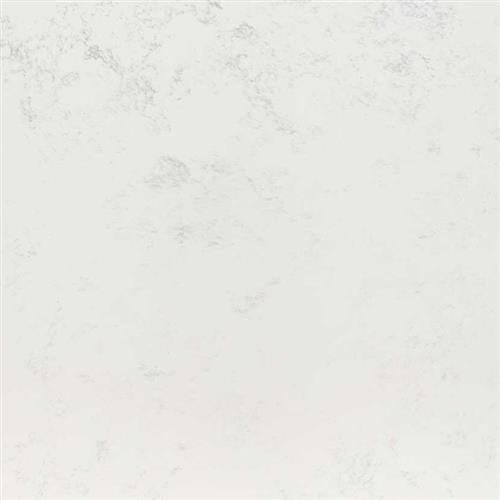 Calacatta Vicenza Matte