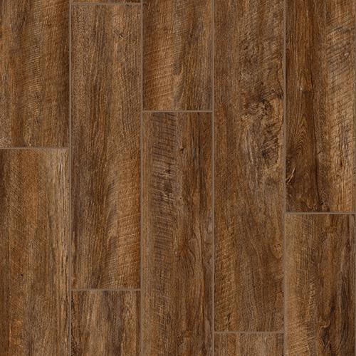 Cabin Door - Grizzly