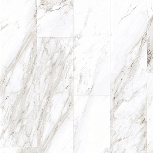 Carrara - White Frost 6X36