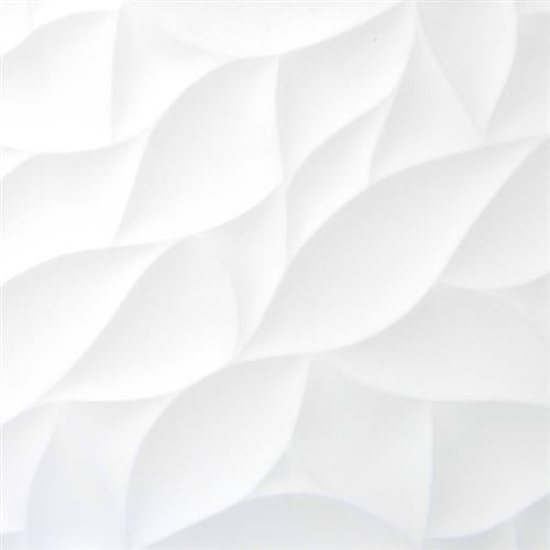 White Bloom Gloss 12"X24"