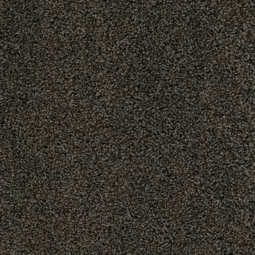 Resilience (SAMPLE)