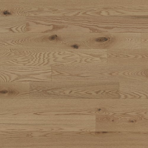 Paddle Ball - 5" Brushed