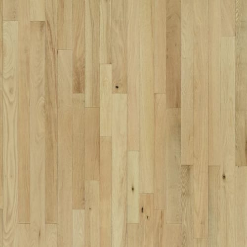 Poppy Seed Red Oak
