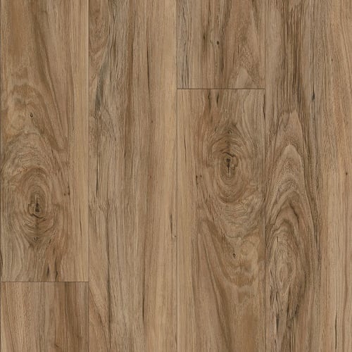 Seaside Sparrow Pine